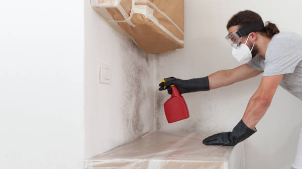 Professional Mold Remediation technician working in Huntington Station, NY